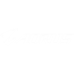 AORUS